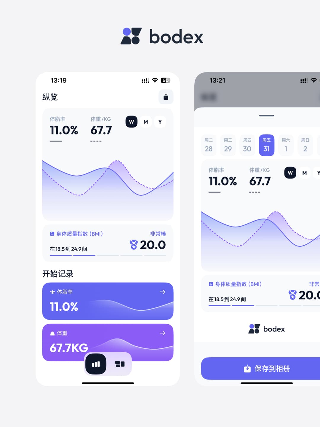 Bodex